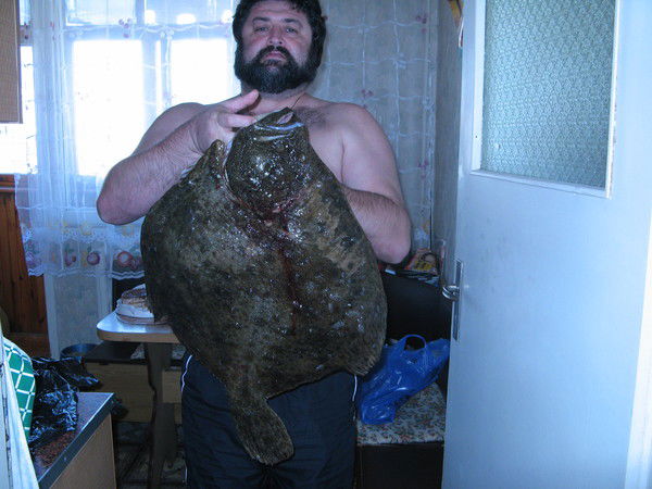 Сергей Асмолов