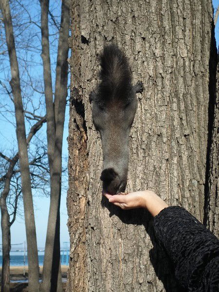 Ольга Балашова