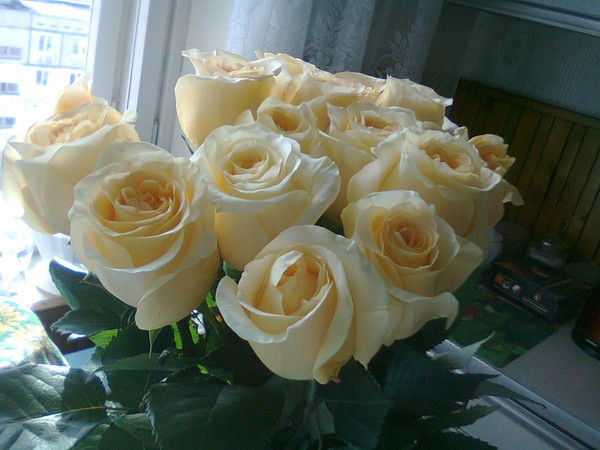 Марина Март