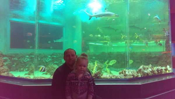 Александр Волошин