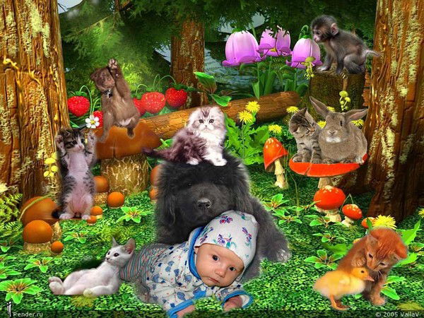 Ира Андреева