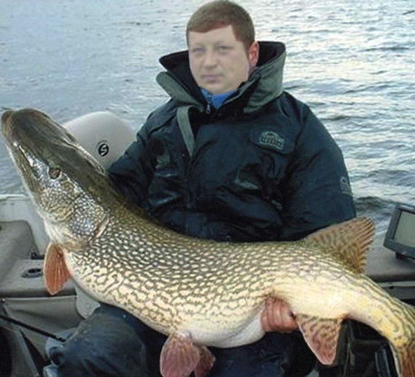 Андрей Гашков