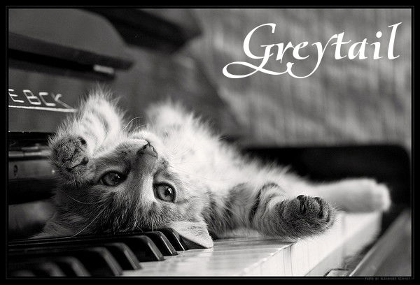 Серохвостая Целительница Gr