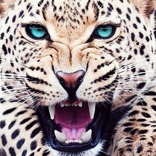 Наталья Паращенко