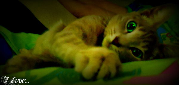 #•метамфетамир •#