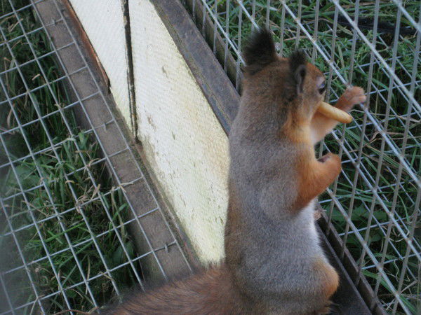 Дина Рязанцева