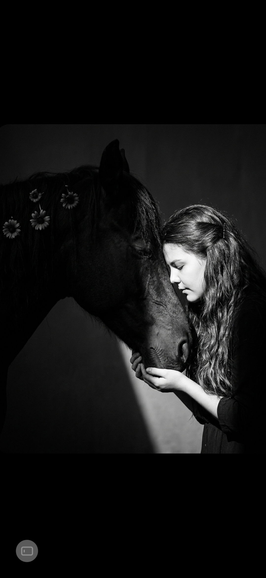 ..::ᵀᴴᴱ ᴼᴿᴵᴳᴵᴻᴬᴸ::..