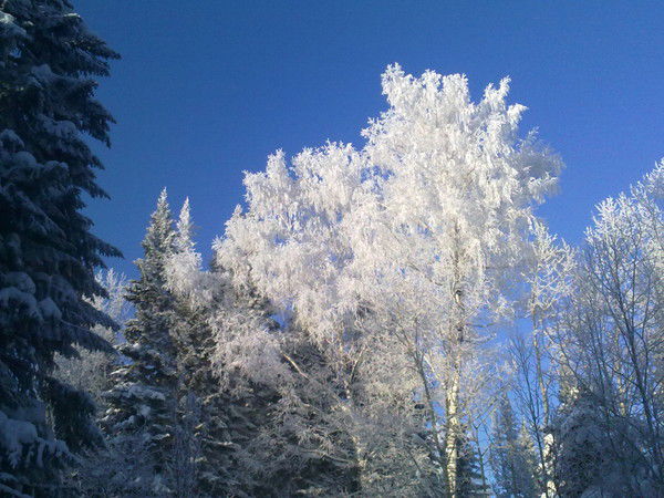 Константин Усов