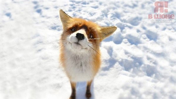 Диля))) Даниярова)))