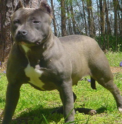 Александр Плотников