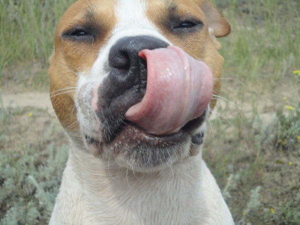 Дашуля Свешникова