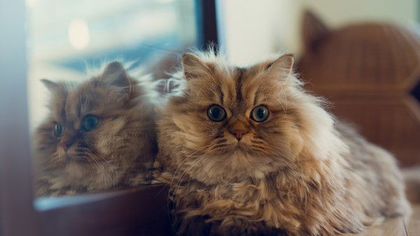 Анастасия Рассохина