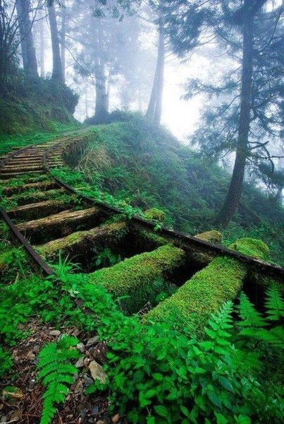 Верон-Ирэн @@@