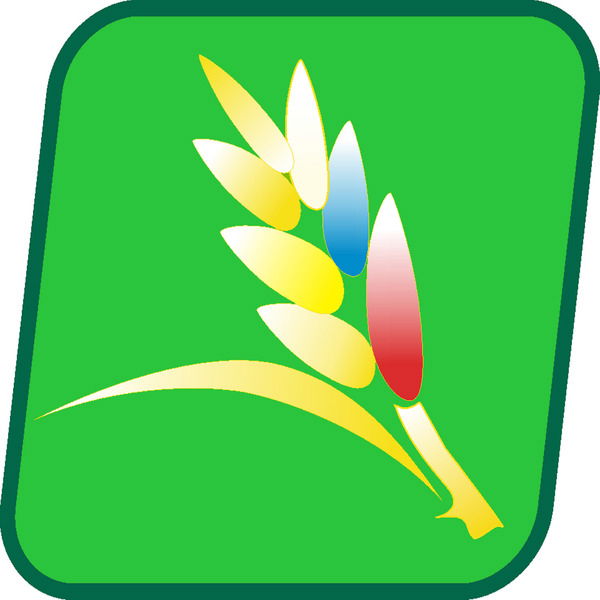 Кировский Филиал