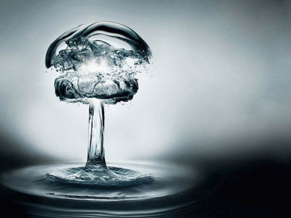 Фёдор Вильгота