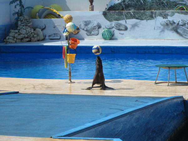 Наталья Гусевская