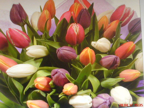 Салтанат **********