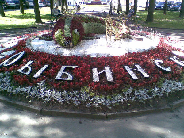 Анатолий Громов