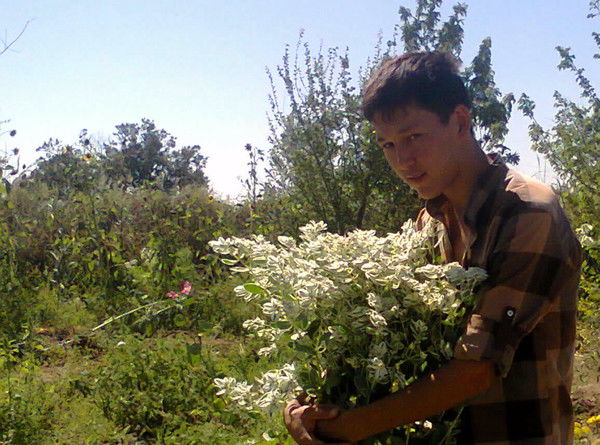 Талисман Твоего Сердца