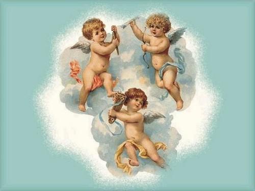 Светлана Молчанова