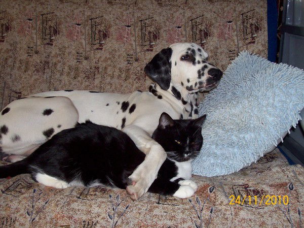 Елена Букина