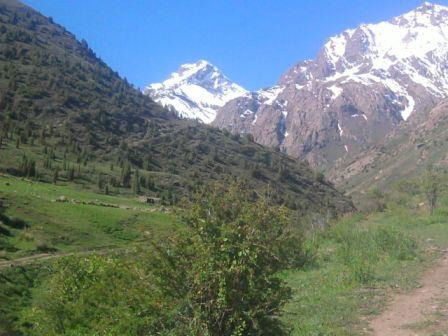 Намоз Тураев