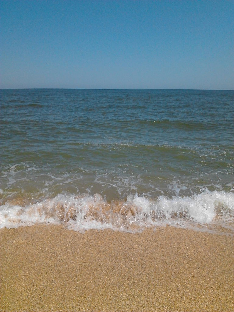 Игорь Бакашев