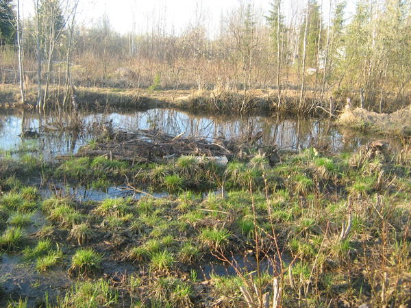 Леонид Смирнов