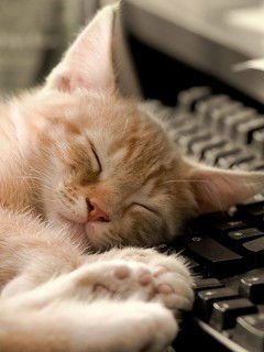 Екатерина Силантьева