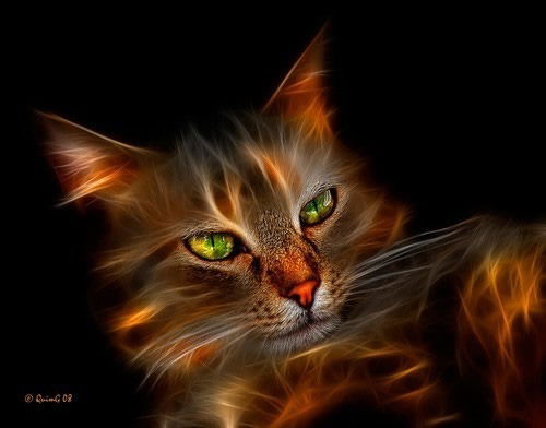 Алексей Маркин