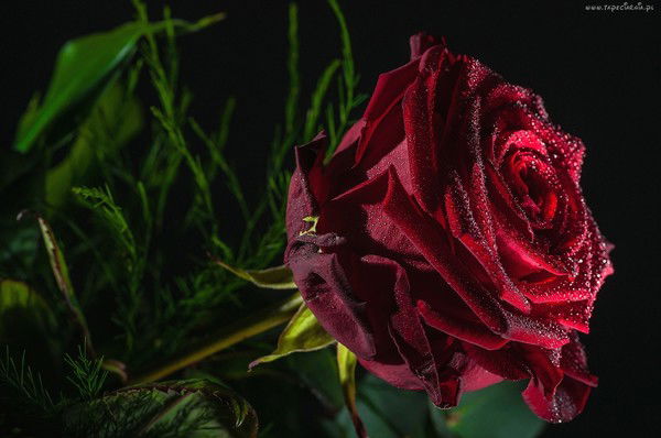 777Надежда Кулясова