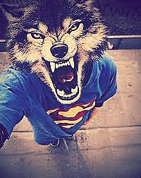 Жека Чулков