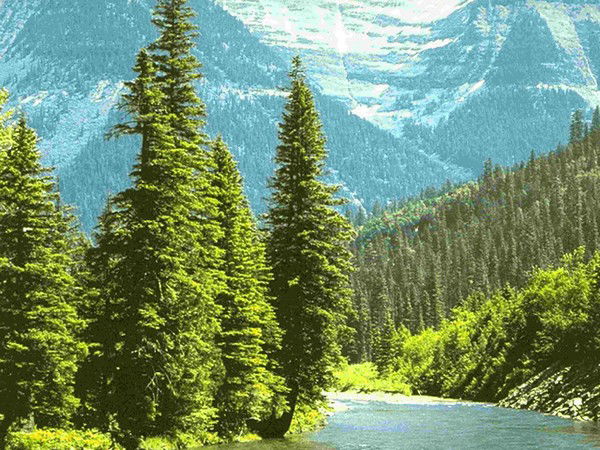 Дария Курманалиева