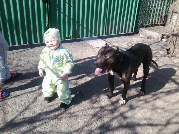 Даниил Мостовой