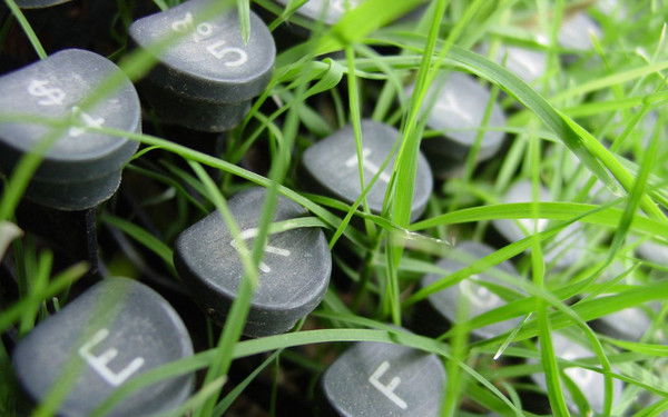 Реаниматор Компьютеров