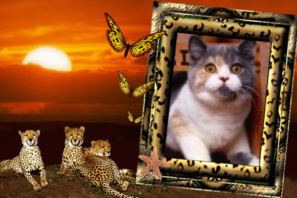 Ольга Степанова