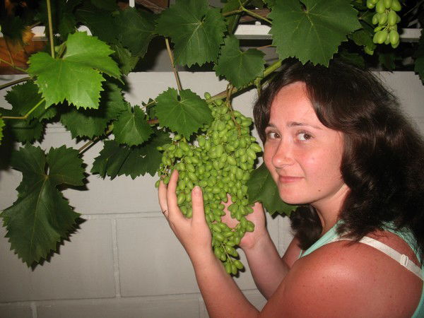 Маргарита Санина