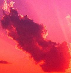 Алексей Фатеев