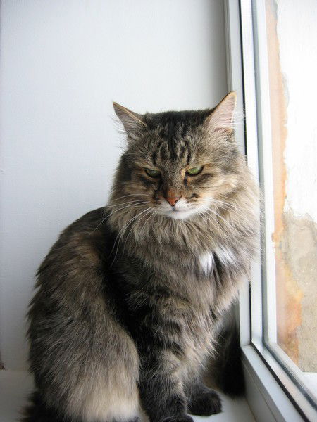 Маруся Климова