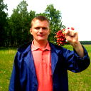 Алексей Печёнов