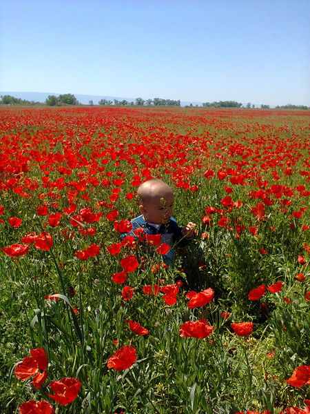 Бекарыс Маратов