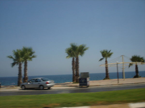 Петрович Mix