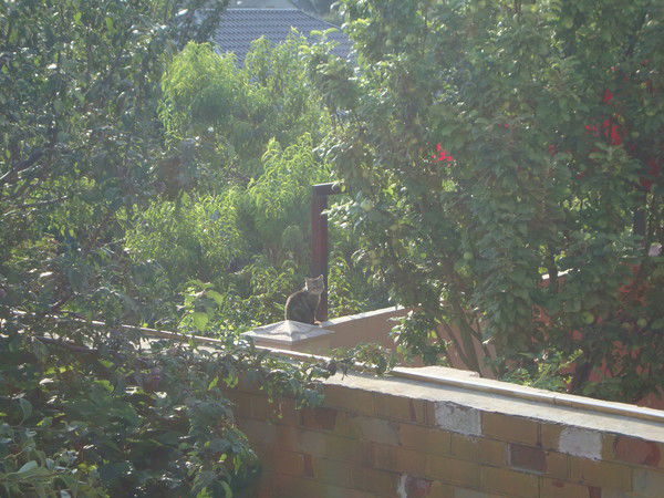 Александра *