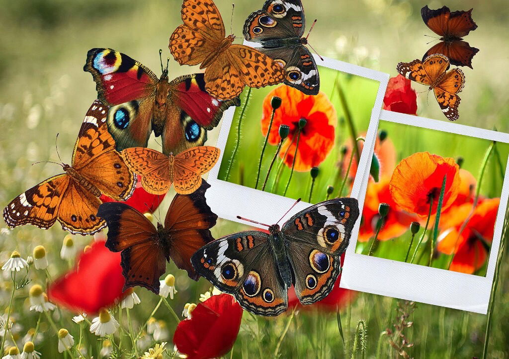 Мария Николаева