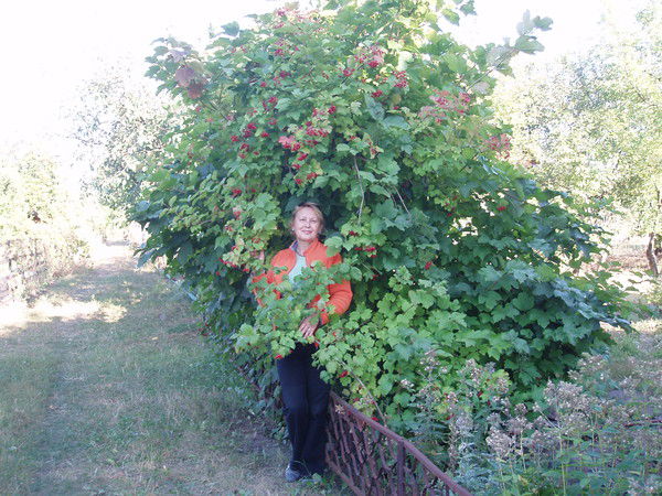 Неля Костенко