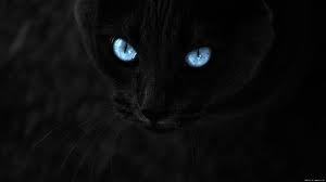 Наталия Шумилина