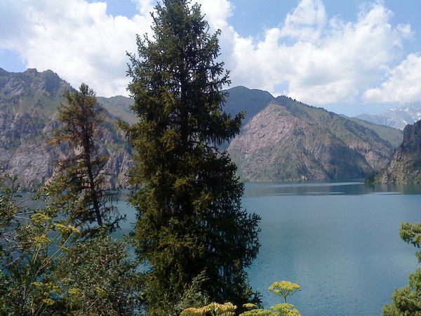 Нургул Омурзакова