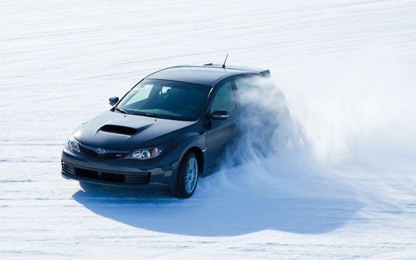 Дмитрий Шевченко