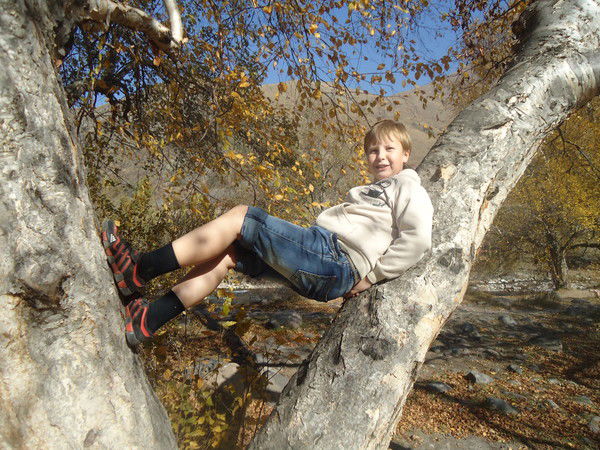 Николай Самарцев