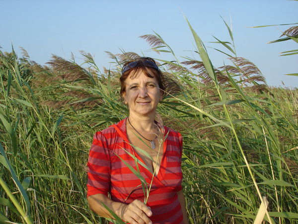 Владимир Васильев